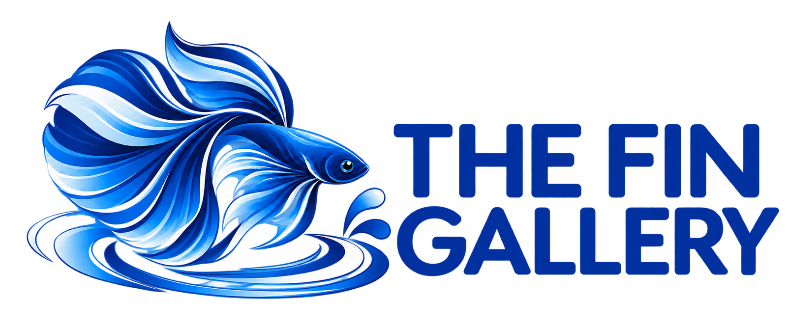 The Fin Gallery